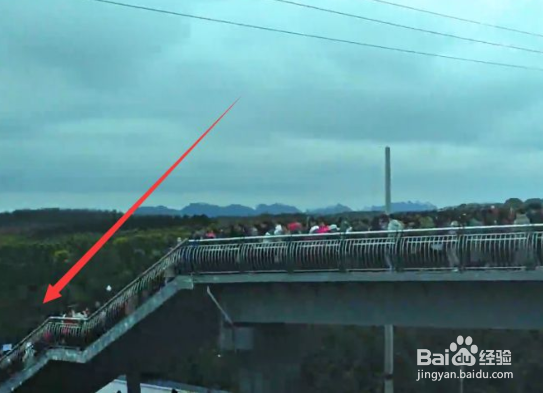 平坝樱花园攻略