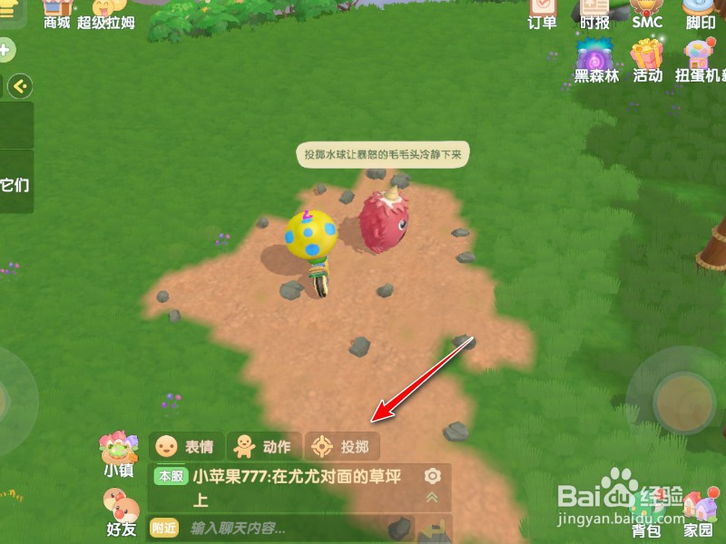 摩尔庄园水球怎么用