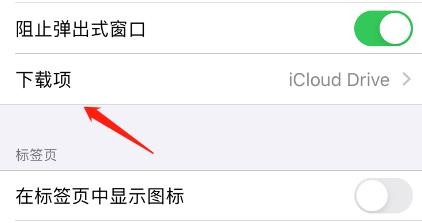 Safari浏览器移除下载列表项怎么改为下载成功时