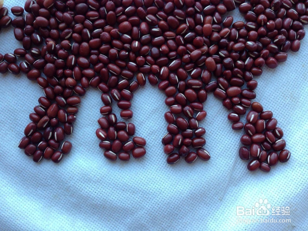 怎样画种子画--大象