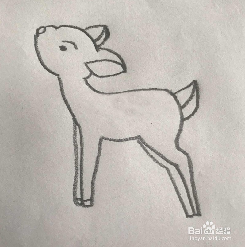 【简笔画】小梅花鹿的分步画法