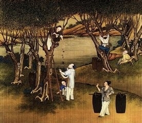 开春做5件事,一年不得病