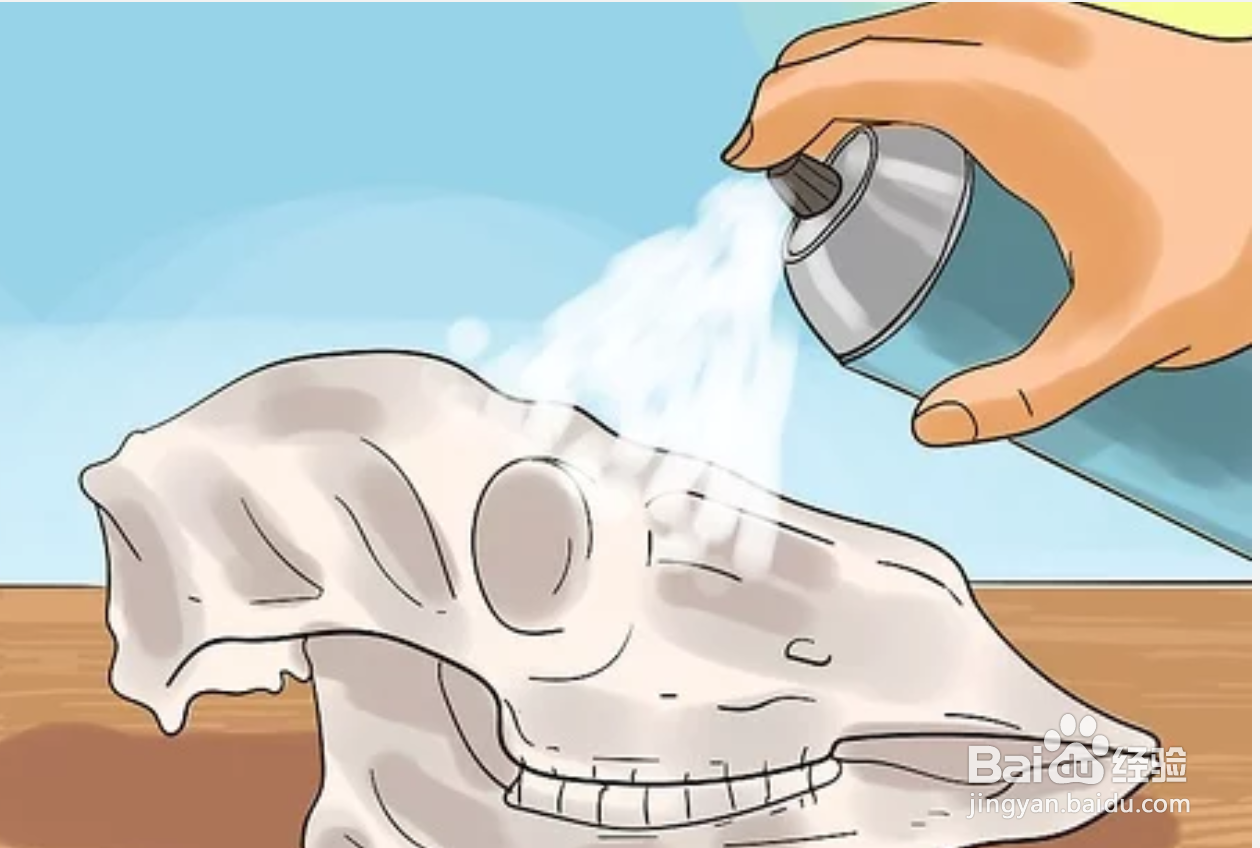 如何保存动物标本