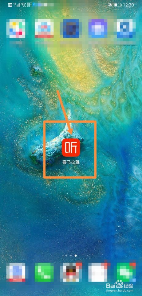 喜马拉雅如何进行残疾人认证