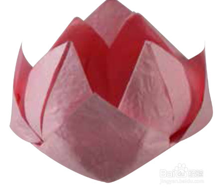 如何折一朵睡莲