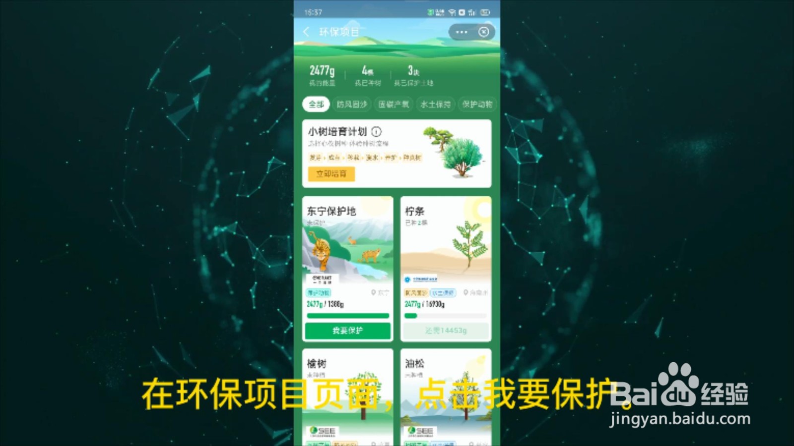 支付宝的环保证书是怎么获得的