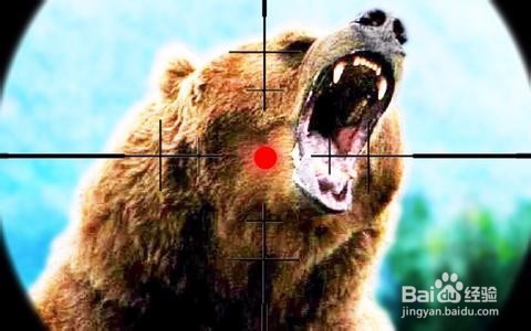 猎人野性的呼唤怎么玩