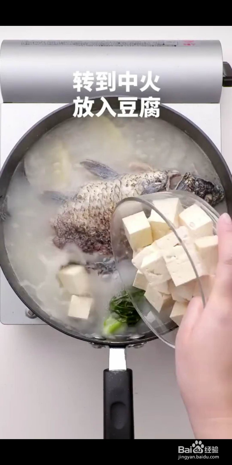 如何做美味的鲫鱼豆腐汤