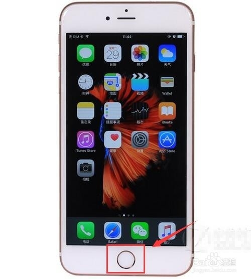 苹果iphone6s怎么关闭程序 苹果6s怎么退出程序