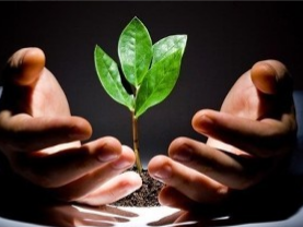 高校应如何开展创新创业教育