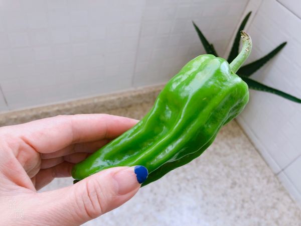 青椒炒山药肉片