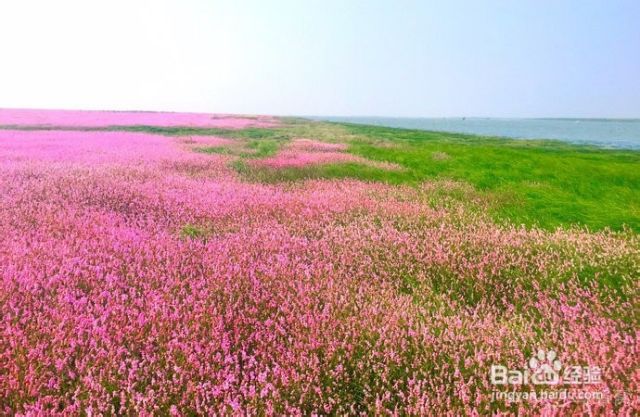 江西省南昌市旅游景点介绍（江西省南昌市旅游景点大全）[图]