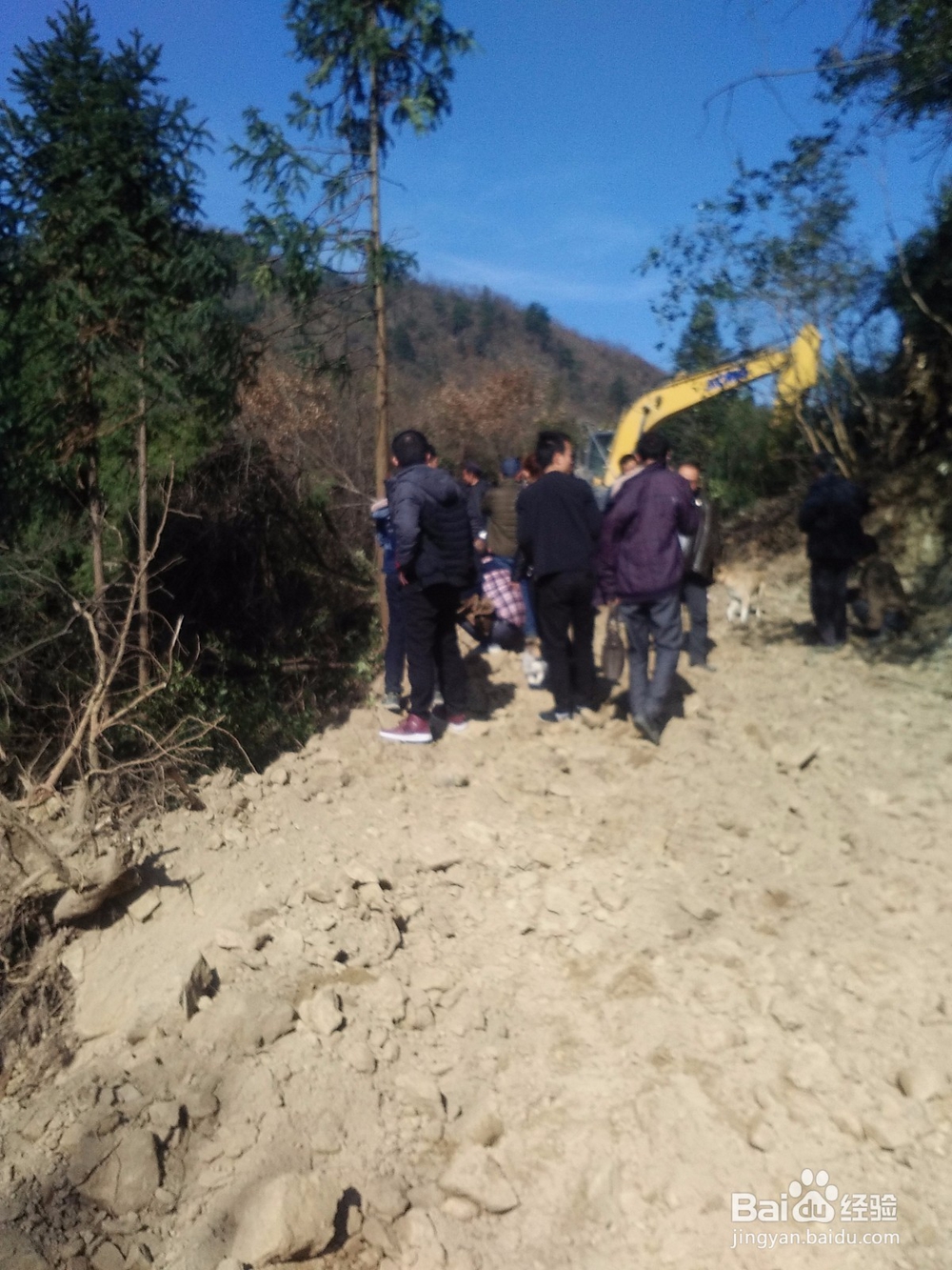 扶贫实现鸣凤人乡村旅游梦想记实