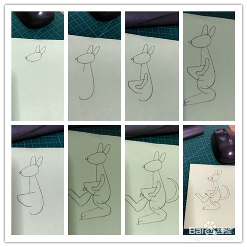 简笔画---袋鼠