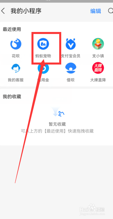樱桃狗狗可以吃吗