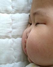 家有胖宝宝的饮食方案