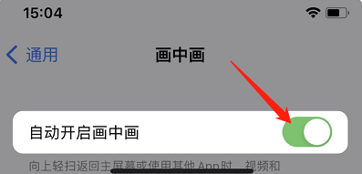 苹果手机如何设置自动开启画中画