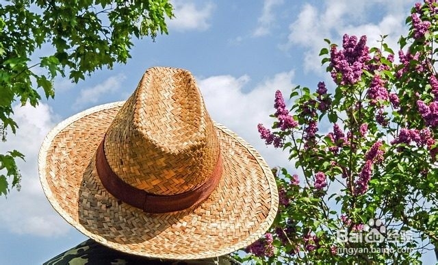 如何有效防治中暑 夏日防暑小贴士