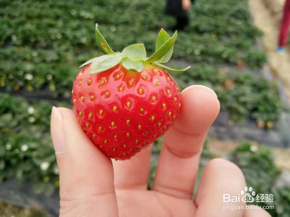 如何去追求一个女人？