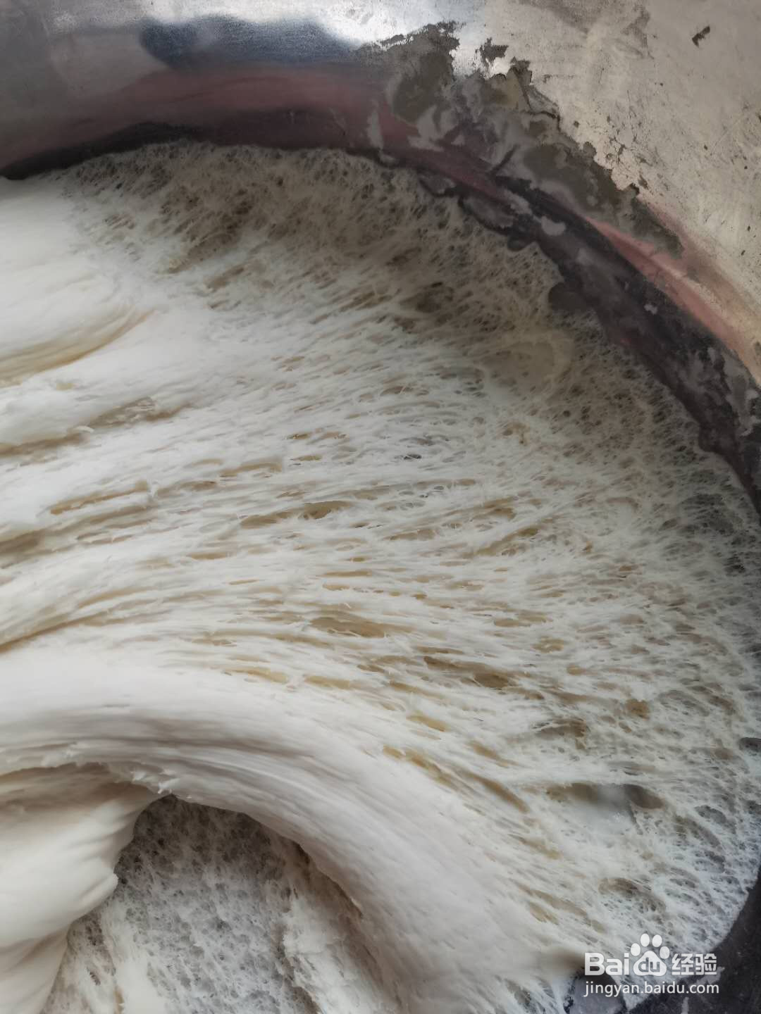 鲜肉包子的做法