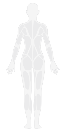 仰卧交替抬腿_人鱼线雕刻