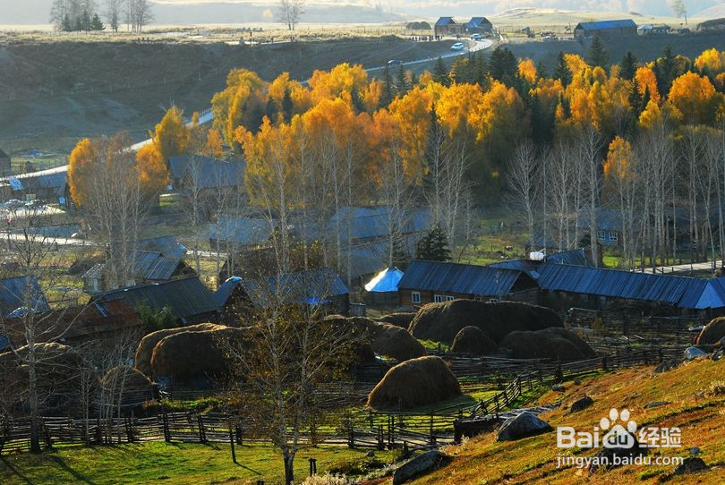 喀纳斯旅游攻略