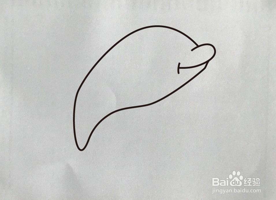 如何画小海豚简笔画