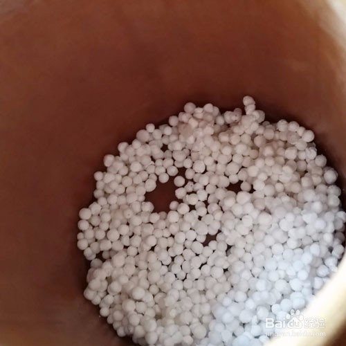 夏季饮品苹果西米露