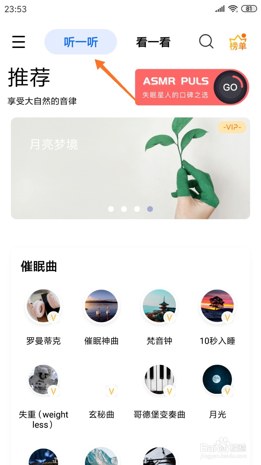 白噪音中如何查看令人遐想的茶室