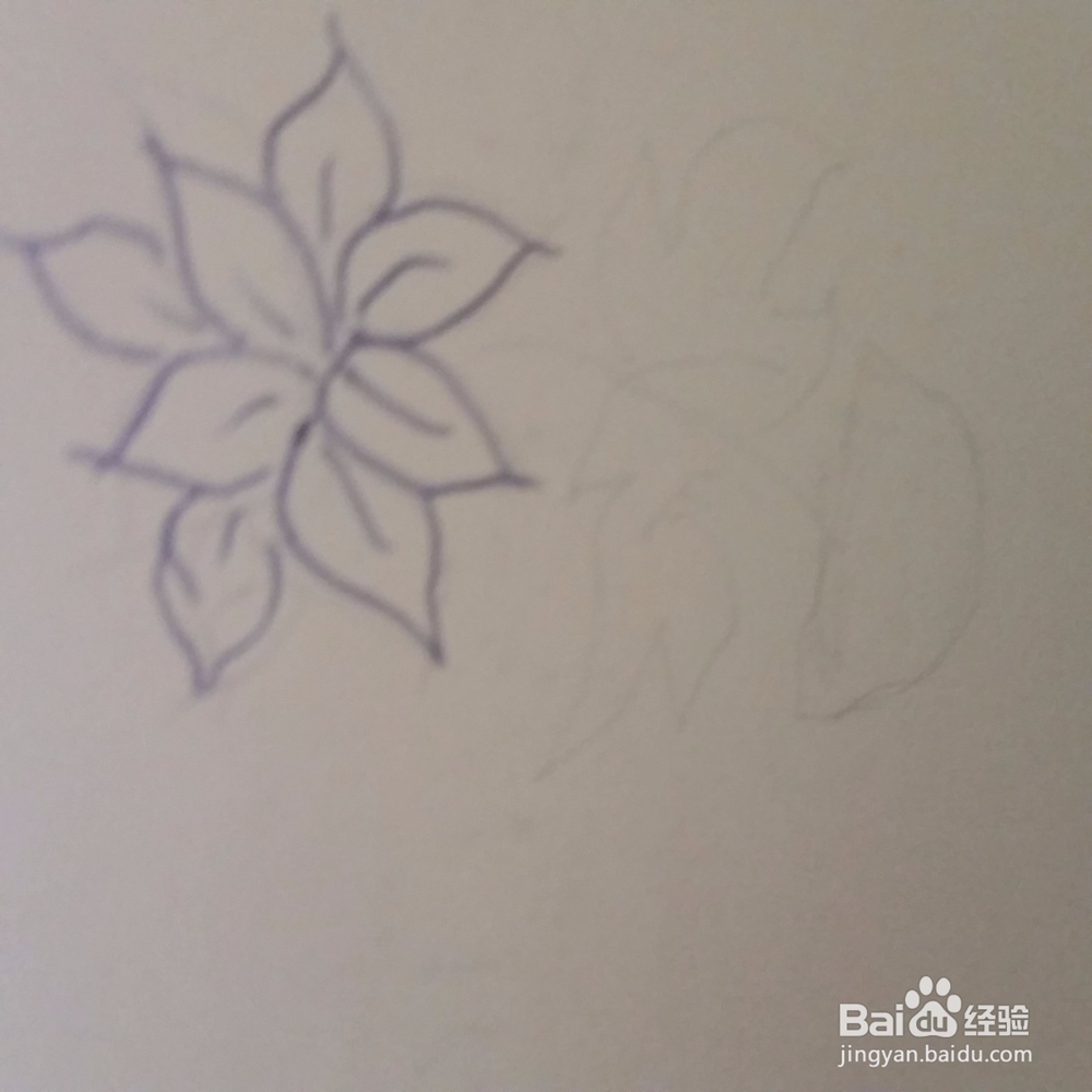 仙客来小盆栽简笔画