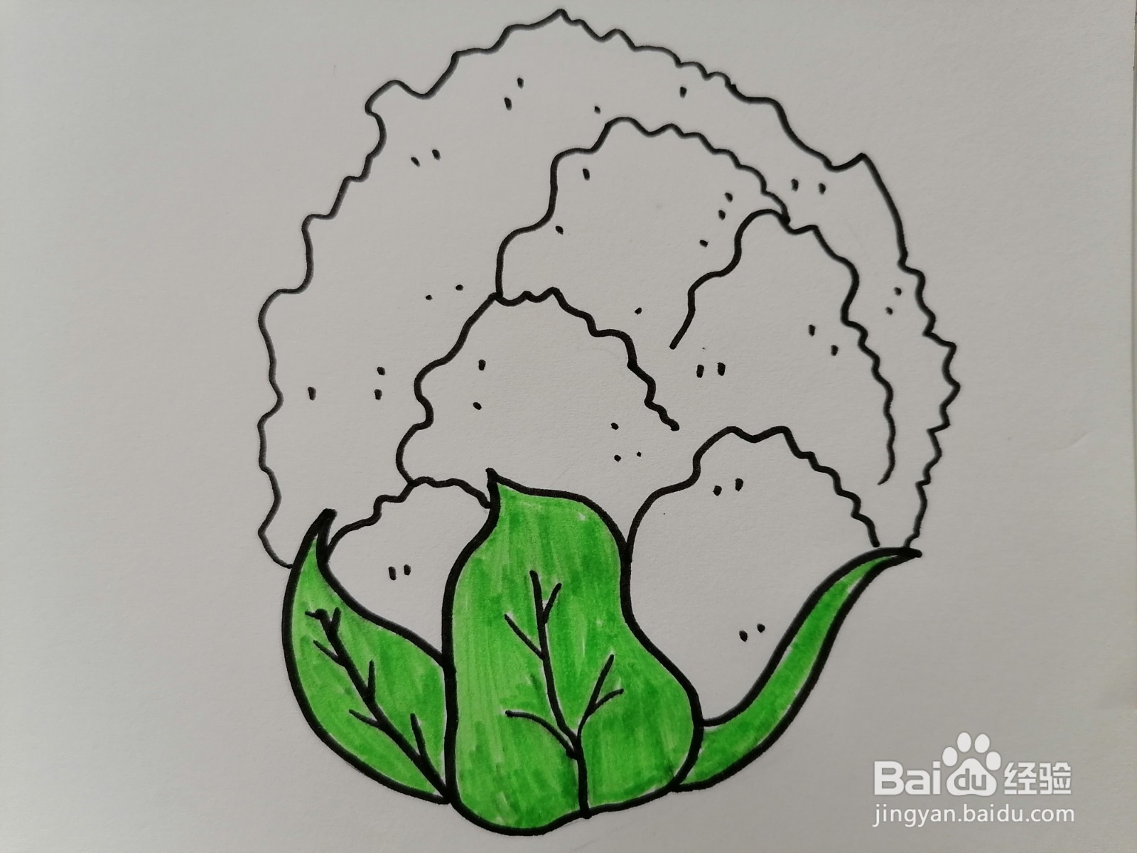 花椰菜怎么画