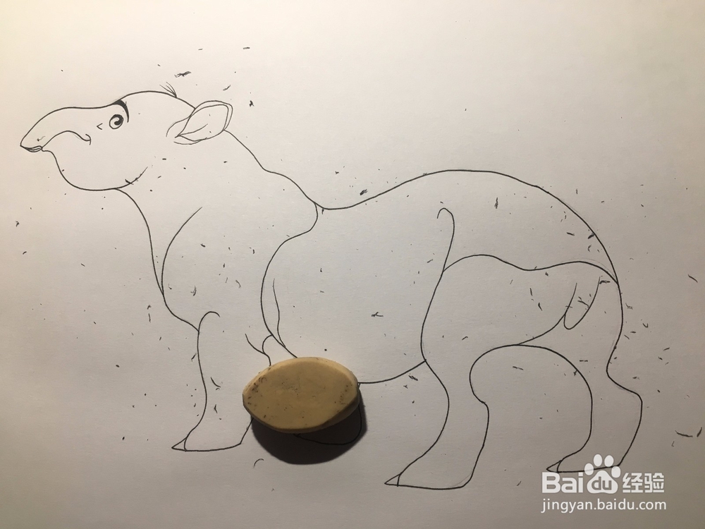 画河马 河马的画法 河马怎么画 简笔画 手绘