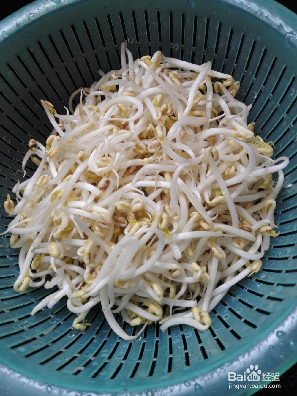 怎样制作素炒绿豆芽？