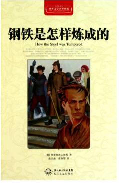 《钢铁是怎么炼成的》每章概括20字