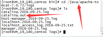 Linux下安装Tomcat服务器