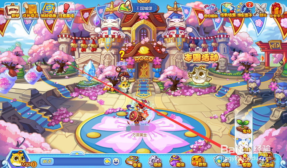 洛克王国怎么放生宠物