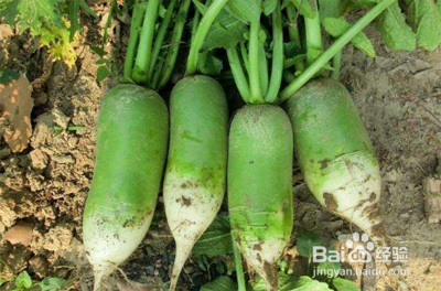 吃水果快速通便好方法