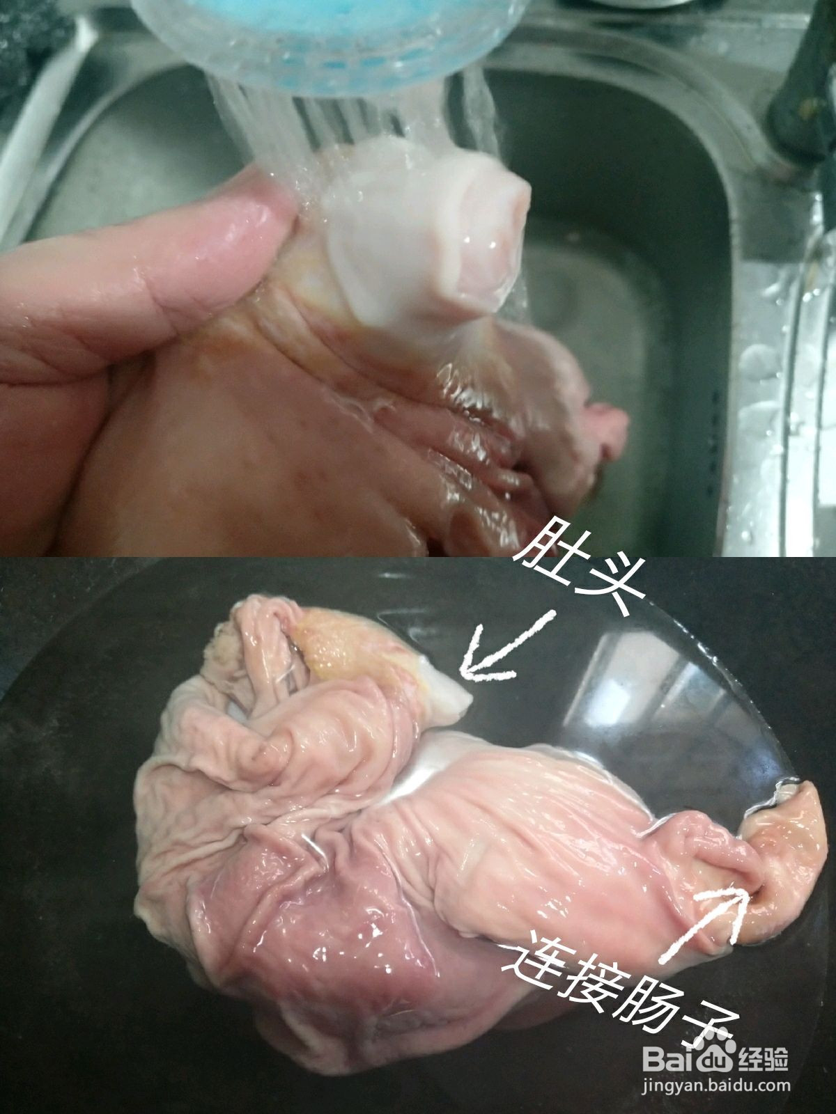 苦藠炖猪肚的做法