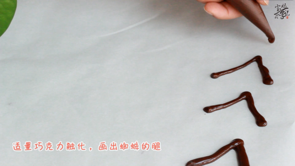 不给糖就捣蛋，万圣节捣蛋小蜘蛛等你来挑战！