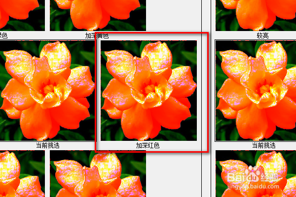 PS练习一百四十七栀子花