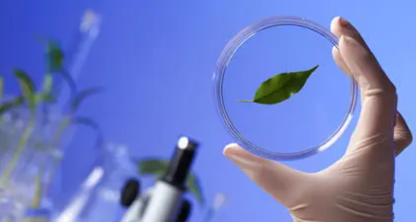 生物物理评分8分代表什么