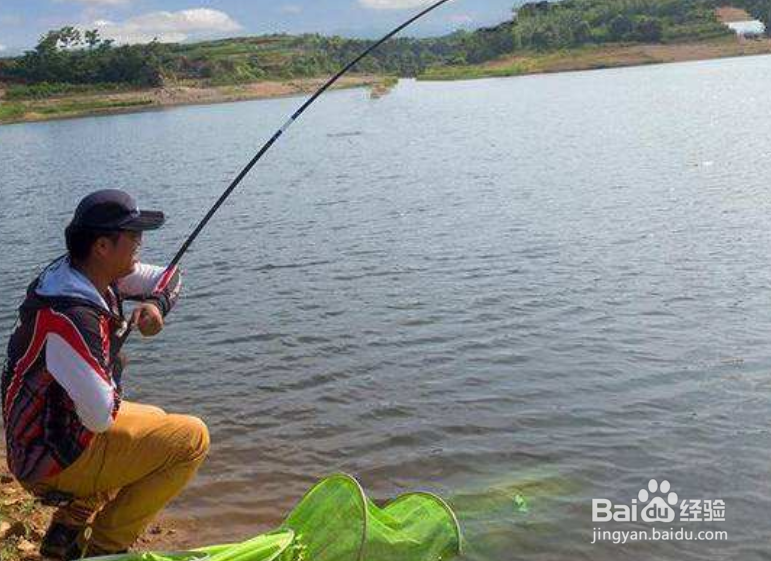 野钓怎样找好钓点?野钓如何钓到更多的鱼?