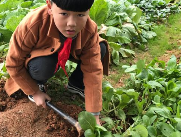 生活中你与土地有的亲密的接触吗把你的经历与体验记录下来