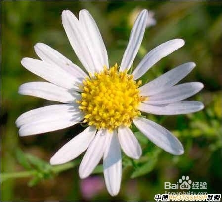 把小图片放大 且不降低质量的技巧