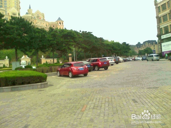 散步携带宠物狗要安全出行