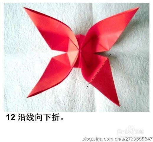 纸蝴蝶之折纸凤尾蝶（图解）