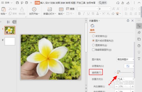ppt降低图片透明度