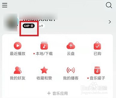 网易云音乐如何取消自动续费