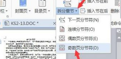 WPS里怎样取消插入分隔符