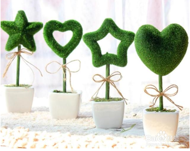 如何正确摆放盆栽